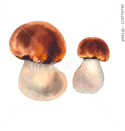 watercolor autumn illustrations with pumpkins and leaves 129770740
