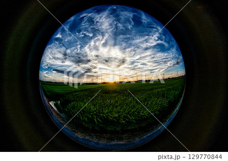 稲穂と空のパノラマ 129770844