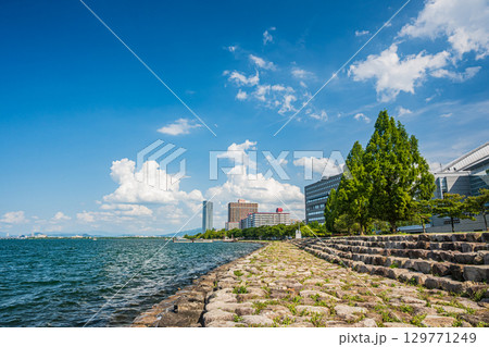 夏の琵琶湖岸風景 大津市 夏の琵琶湖岸風景 大津市 129771249
