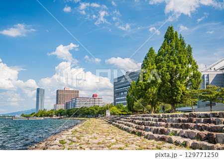 夏の琵琶湖岸風景　大津市 129771250