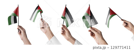 The Palestine flag in hand in different angles on a white background 129771411