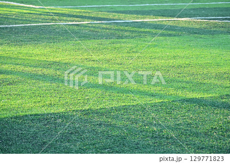 artificial green grass soccer field with sunlight, training football yard 129771823