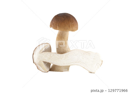 A perfect studio shot showcasing a single porcini mushroom, perfectly cut in half. A perfect studio shot showcasing a single porcini mushroom, perfectly cut in half. 129771966