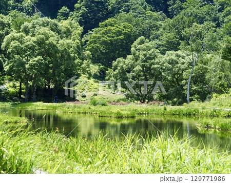 湯沢高原の湖 129771986