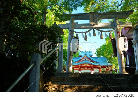 今日のはじまり - 朝の光が差し込む夏の多摩川浅間神社(東京都大田区) 今日のはじまり - 朝の光が差し込む夏の多摩川浅間神社(東京都大田区) 129772029