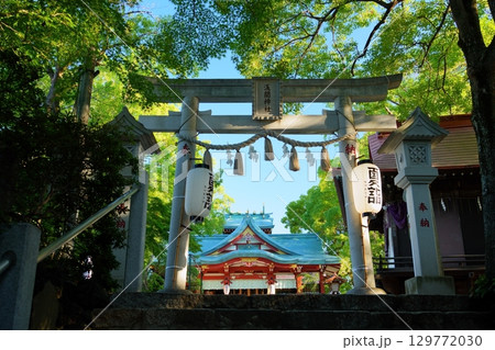 今日のはじまり - 朝の光が差し込む夏の多摩川浅間神社(東京都大田区) 今日のはじまり - 朝の光が差し込む夏の多摩川浅間神社(東京都大田区) 129772030