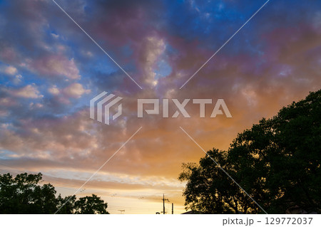 奈良市街地の朝焼け　シルエットになった街路樹と黄金色の空 129772037