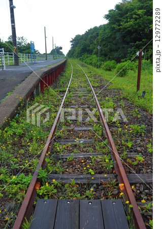 JR津軽線の終着駅 運休中で雑草が目立つ三厩駅の蟹田方面の景色(青森県外ヶ浜町) JR津軽線の終着駅 運休中で雑草が目立つ三厩駅の蟹田方面の景色(青森県外ヶ浜町) 129772289