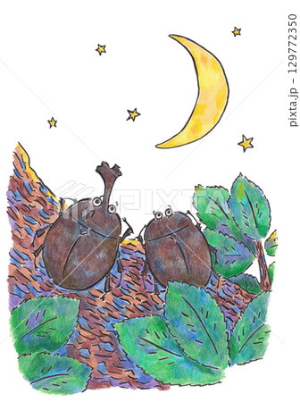 カブトムシと星空のイラスト カブトムシと星空のイラスト 129772350