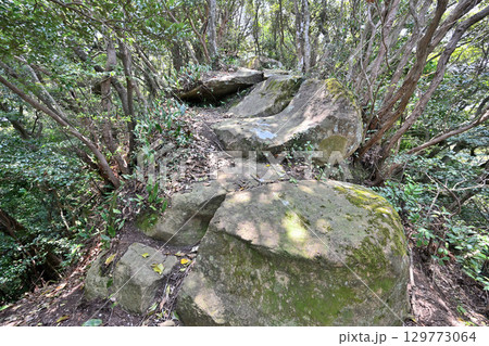 佐賀県唐津市「岸岳城」　山城の石垣と曲輪 129773064