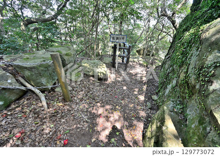 佐賀県唐津市「岸岳城」 山城の石垣と曲輪 佐賀県唐津市「岸岳城」 山城の石垣と曲輪 129773072