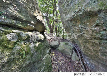 佐賀県唐津市「岸岳城」　山城の石垣と曲輪 129773073