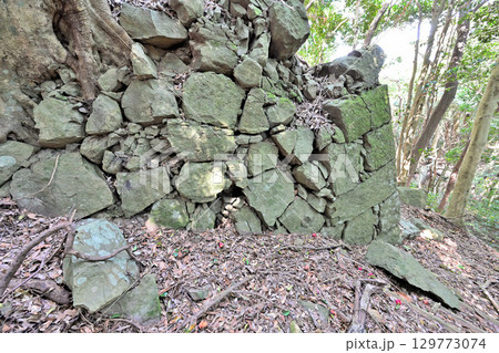 佐賀県唐津市「岸岳城」　山城の石垣と曲輪 129773074
