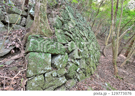 佐賀県唐津市「岸岳城」 山城の石垣と曲輪 佐賀県唐津市「岸岳城」 山城の石垣と曲輪 129773076