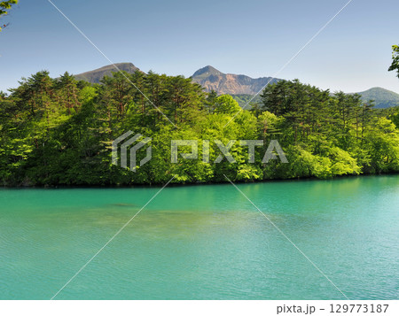 【山の風景】福島県・五色沼自然探勝路・毘沙門沼 129773187