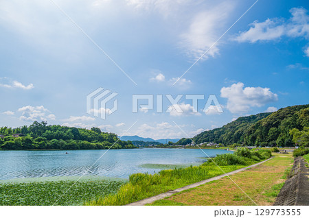 夏の瀬田川風景　滋賀県大津市 129773555