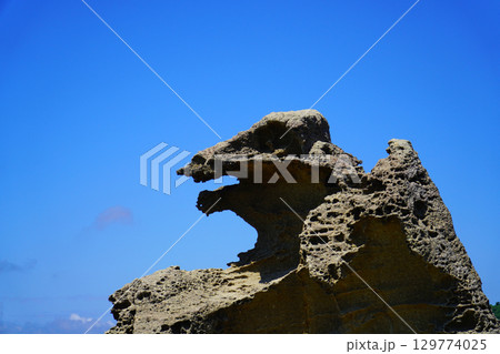 ゴジラ岩　男鹿半島・大潟ジオパーク 129774025