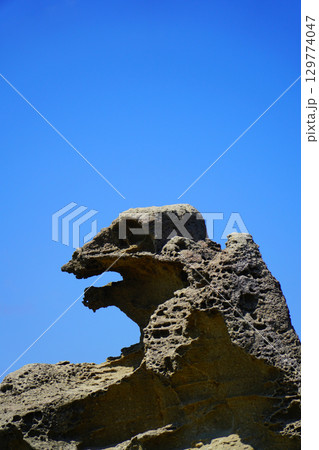 ゴジラ岩 男鹿半島・大潟ジオパーク ゴジラ岩 男鹿半島・大潟ジオパーク 129774047