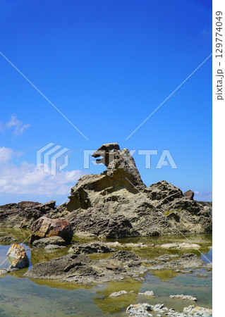 ゴジラ岩 男鹿半島・大潟ジオパーク ゴジラ岩 男鹿半島・大潟ジオパーク 129774049