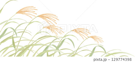 水彩で描いたススキの背景イラスト 129774398