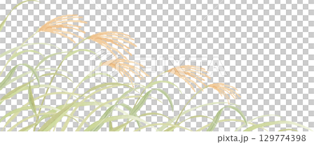 水彩で描いたススキの背景イラスト 129774398