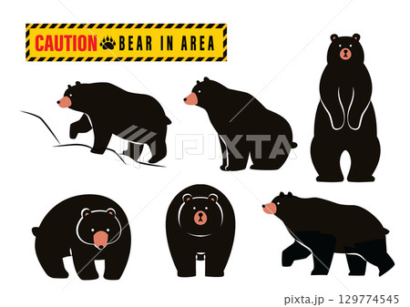 色々な熊のイラストセット 色々な熊のイラストセット 129774545