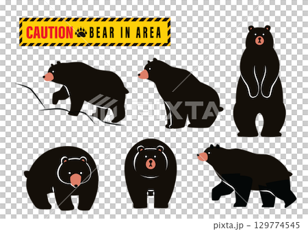 各種熊插圖集 129774545