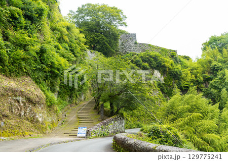 岡城跡 岡城跡 129775241