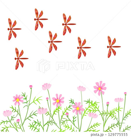 秋の空4 秋の空4 129775555