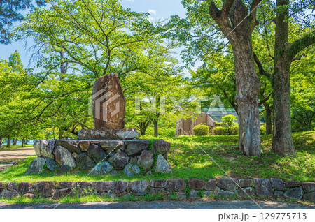 夏の膳所城跡公園　滋賀県大津市 129775713