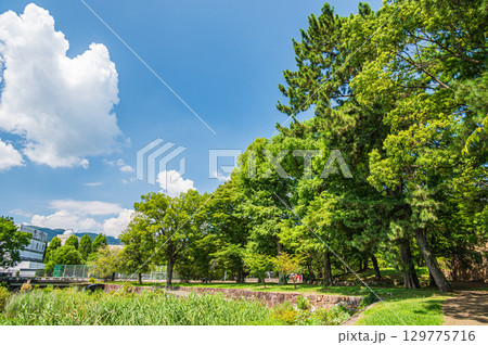 夏の膳所城跡公園　滋賀県大津市 129775716