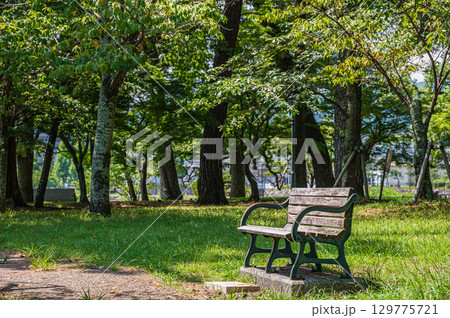 夏の膳所城跡公園　滋賀県大津市 129775721