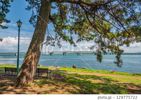 夏の膳所城跡公園　滋賀県大津市 129775722