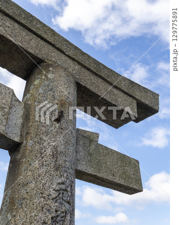 鳥居に止まったアブラゼミ 129775891