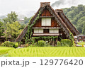 雨の中、白川郷の古民家と稲田と山の風景 129776420