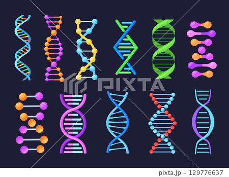 Dna helix model. Genetic strings abstract icons, molecule gene structure double string sequence genom biotech logo biology science concept, cartoon set neat vector illustration 129776637