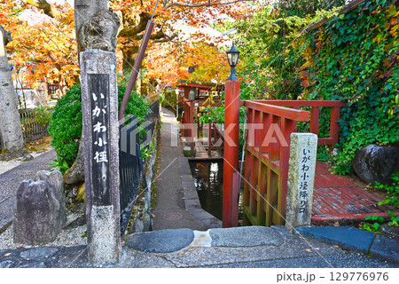 【岐阜県/郡上八幡】紅葉に染まる いがわ小径 【岐阜県/郡上八幡】紅葉に染まる いがわ小径 129776976