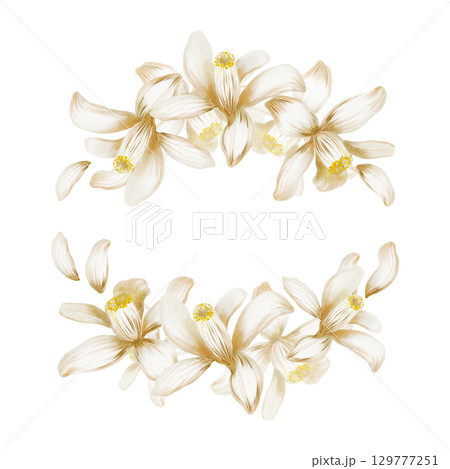 Blooming white lemon tree flowers in semi-circular frame as a symbol of purity and renewal,sunny southern vibes,relaxing holiday mood-hand-painted illustration in watercolor isolated on white Blooming white lemon tree flowers in semi-circular frame as a symbol of purity and renewal,sunny southern vibes,relaxing holiday mood-hand-painted illustration in watercolor isolated on white 129777251