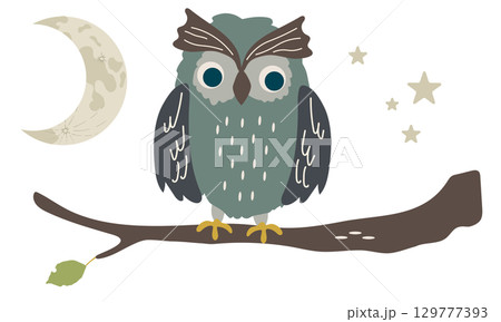気にとまる月夜の森のフクロウのイラスト 129777393