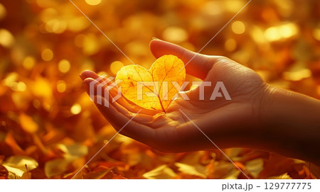 A hand gently holding a heart-shaped autumn leaf, surrounded by a bed of golden leaves . A hand gently holding a heart-shaped autumn leaf, surrounded by a bed of golden leaves . 129777775