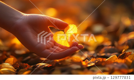A soft hand holding a heart-shaped yellow leaf, golden autumn leaves scattered around the ground . 129777831