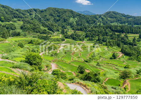 《新潟県》星峠の棚田・夏の田園風景 129777850