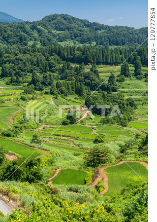 《新潟県》星峠の棚田・夏の田園風景 129777854