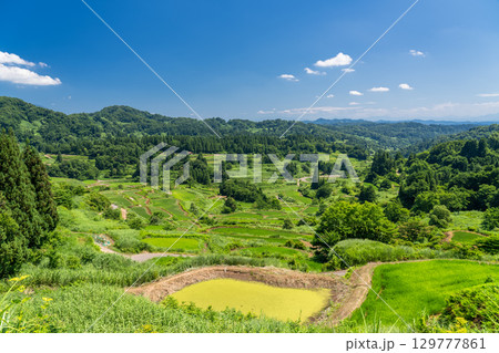 《新潟県》星峠の棚田・夏の田園風景 129777861