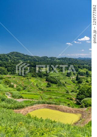 《新潟県》星峠の棚田・夏の田園風景 129777862