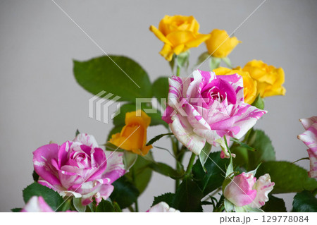 スプレー薔薇の花束 スプレー薔薇の花束 129778084