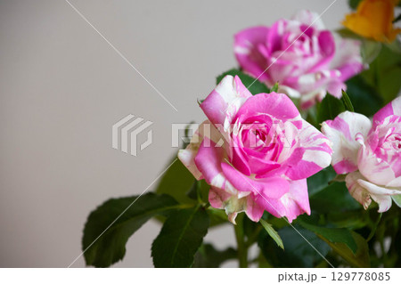 フラッシング 129778085