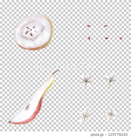 Part of a pear, a round piece, seeds and flowers. Isolated watercolor illustration of a set for designing packages of juices, purees, baby food, jam, compotes, printing on posters and clothes. 129778283