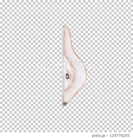 A piece of pear. Isolated watercolor illustration of a part of the fruit for the design of packages of juices, purees, baby food, jam, compotes, printing on posters and clothes. A piece of pear. Isolated watercolor illustration of a part of the fruit for the design of packages of juices, purees, baby food, jam, compotes, printing on posters and clothes. 129778285