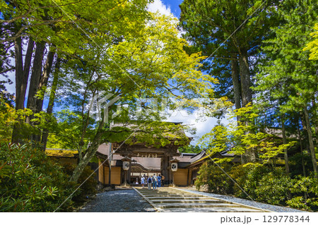 金剛峯寺 129778344